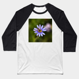 Aster & Hoverfly Baseball T-Shirt